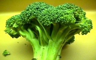 [Broccoli]