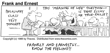 "The Meaning of Life" ("Frank and Ernest" comic strip.)