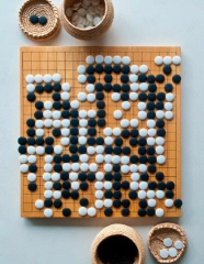 AlphaGo Go Champion